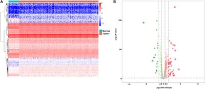 Development and Validation of Nine-RNA Binding Protein Signature Predicting Overall Survival for Kidney Renal Clear Cell Carcinoma